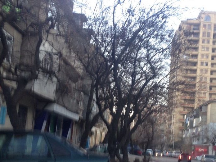Amiricano Coffee, Narimanov