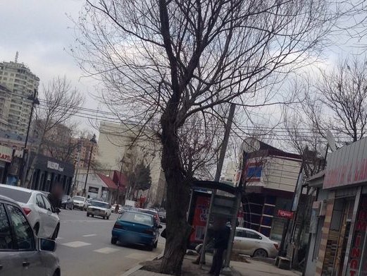 Ailəvi Kabab Evi Vətən, Nasimi