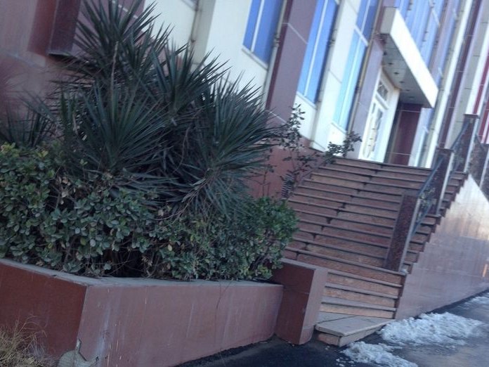 «Ağsu» Şadlıq Sarayı, Дарнагюль