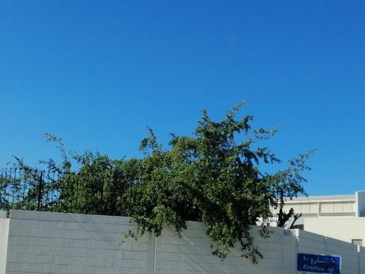 Burger Gate, Al-Hidd