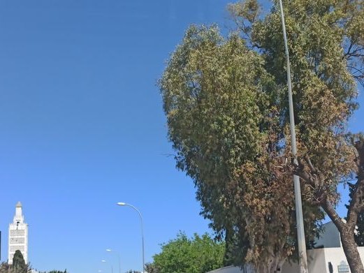 Oxygénothérapie hyperbare Tunisie, Les Jardins
