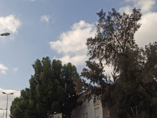 Vanilia l'aouina, Cité Taeib M'hiri
