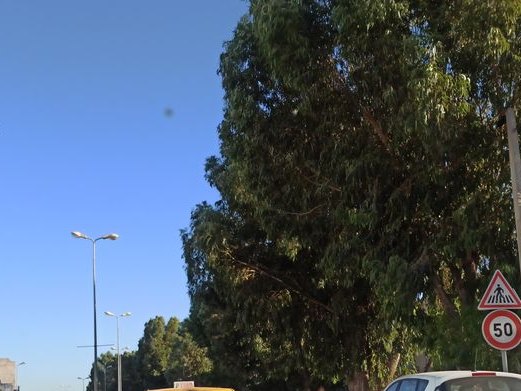 Machewi Sultan Chemi, Cité Taeib M'hiri