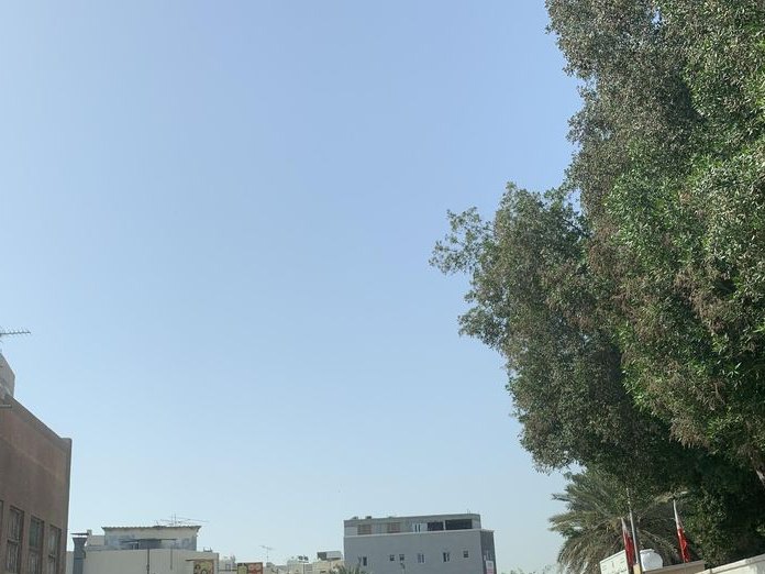 king karak, Al Hoora