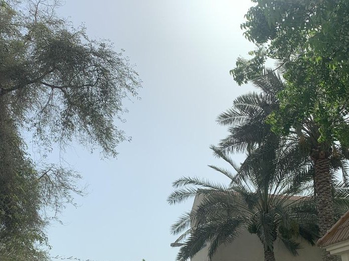 Masooma hashim, Sanad