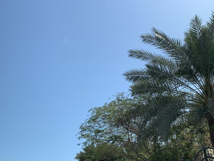 Seven Eleven, Al-Suqayya
