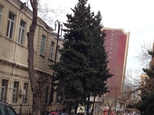 Moda 28 Cafe & Restoran, Насиминский район