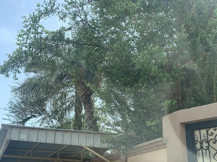 Al Qannas, Galali