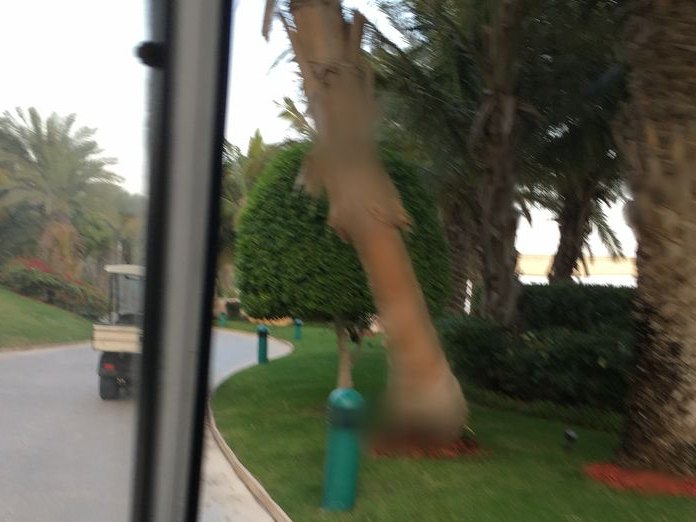 The Shore, Palm Jumeirah