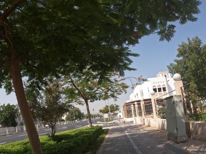 ZouZou Turkish and Lebanese Restaurant, Jumeirah 1