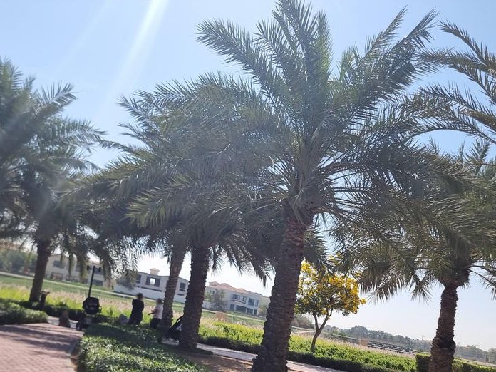 The Hamptons Cafe and Restaurant, JLT