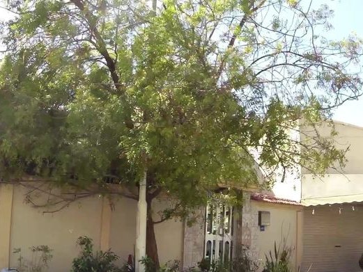 Al Mayasa Salon, Al-Juffair