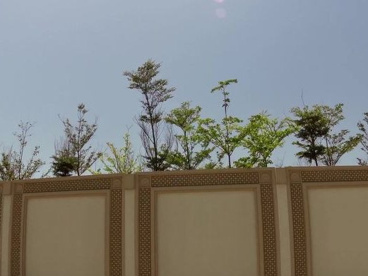 Galleria Mall, Jumeirah