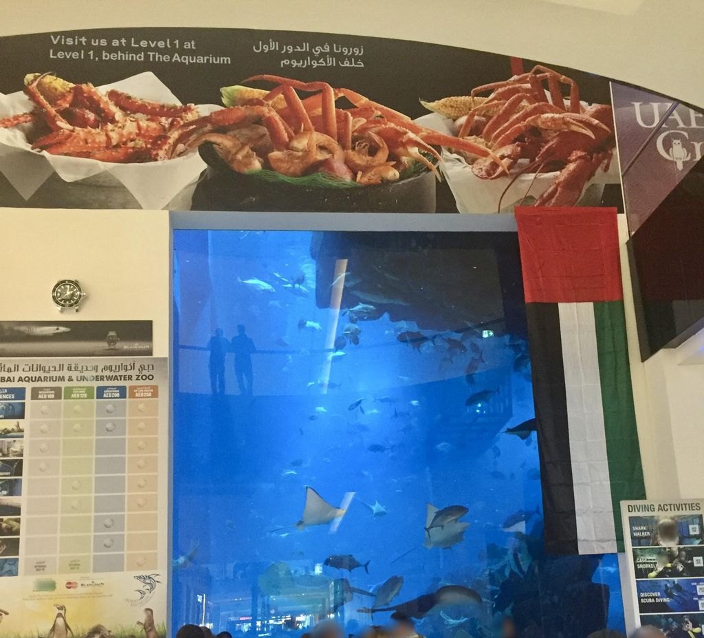 Mado Restaurant, Downtown Dubai
