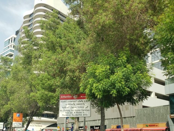 Manhattan Avenue Hotel LLC, Al Raffa