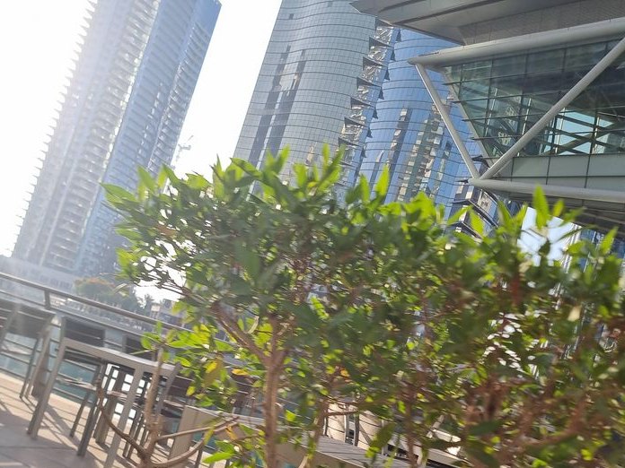 Saigon - Taste of Vietnam, Jumeirah Lakes Towers