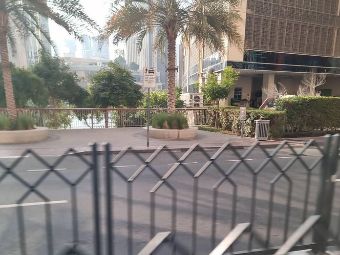 Rex Bar Dubai, Dubai Marina & JBR