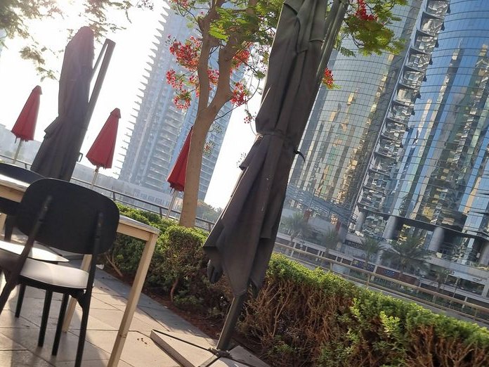 Pitfire Pizza, Jumeirah Lakes Towers