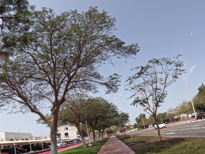 Friends Avenue Cafe Al Thanyah, Umm Al Sheif