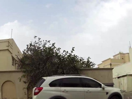 Joo Joo Flowers, Riffa
