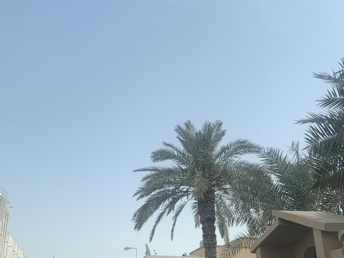 Soltanti Abayat, Riffa