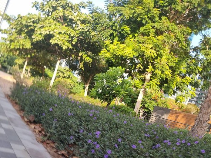 Armada Avenue Hotel JLT, JLT cluster Q
