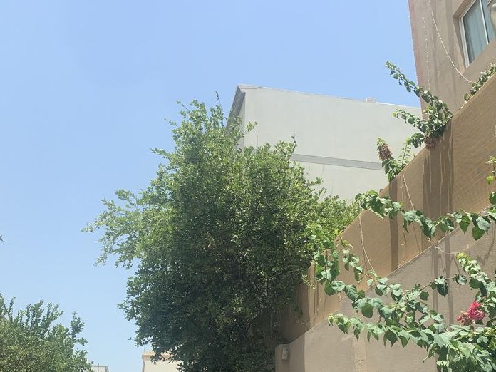 Pineapple Tree Boutique, مروزان