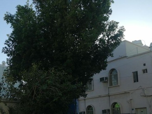 Nawaem Boutique, Al-Hidd