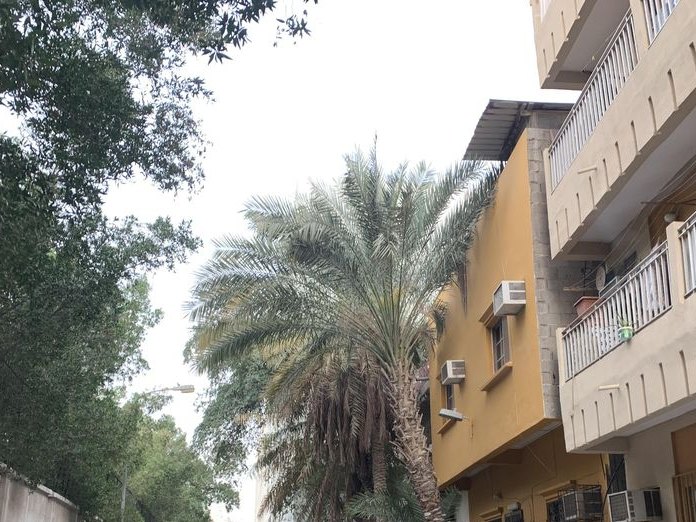 Golden Rose, Al Hoora