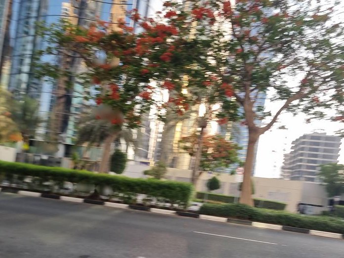 The Cavendish Restaurant, Al Thanyah 5
