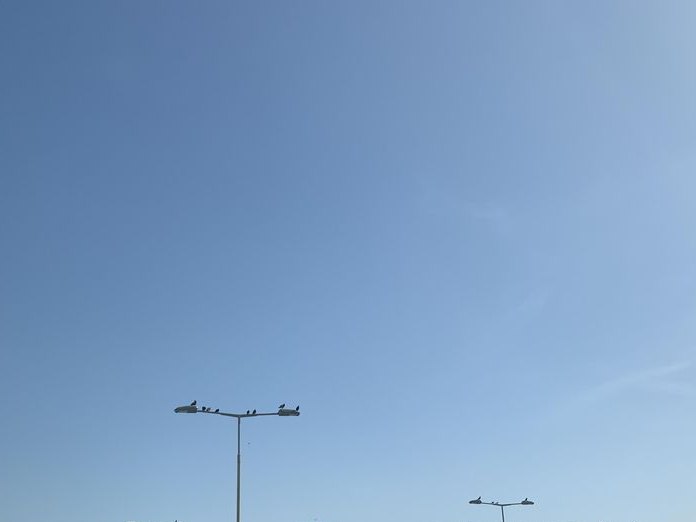 Al Mansaf Cafeteria, Bahrain Bay & Manama Centre