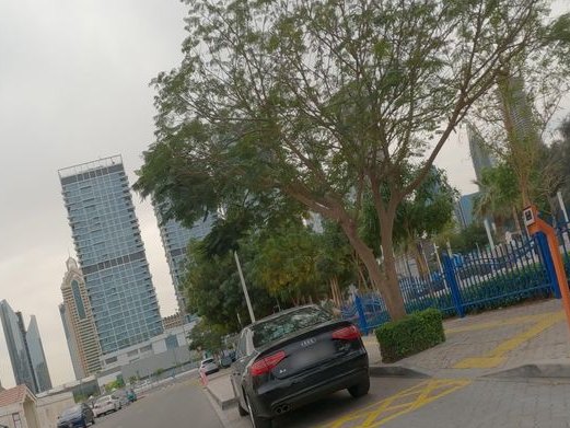 Hapi, Jumeirah 1