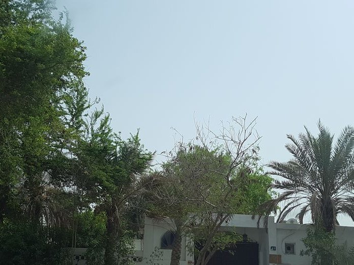 Rove Dubai Hotel, Al Jaffiliya