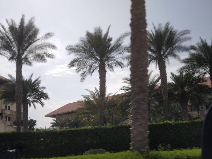 Zaki Salon, Palm Jumeirah