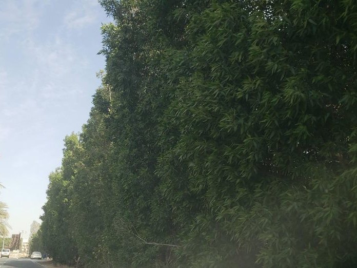 Nature True Spa, Block 12K