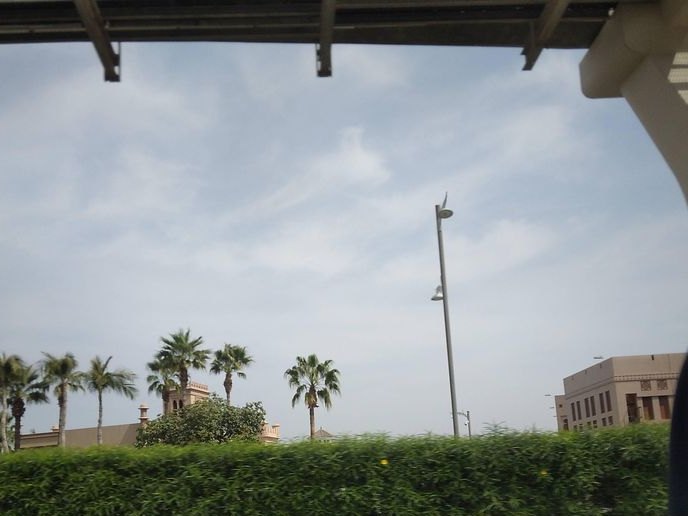 The Burger Joint (TBJ), Palm Jumeirah