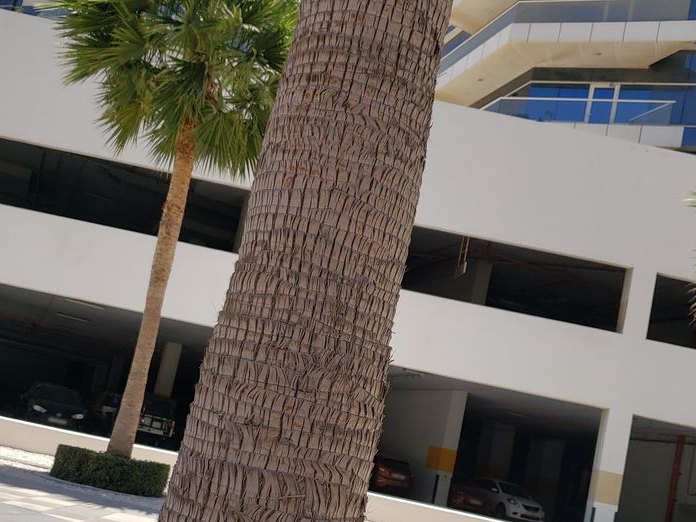 Al Bal Lounge, Al Thanyah 1