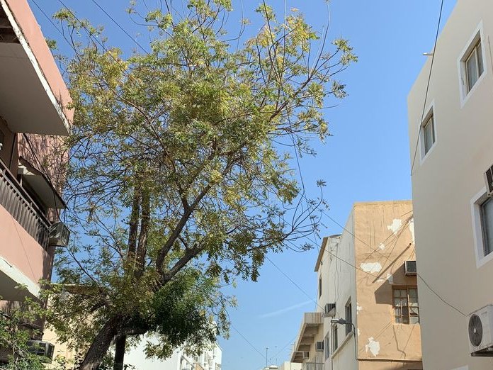 Al Dusaiteen, Busaiteen