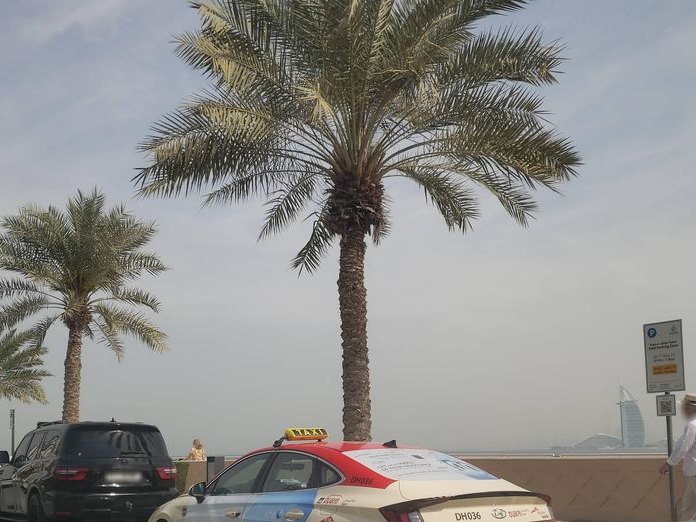 Palm Kitchen, Palm Jumeirah