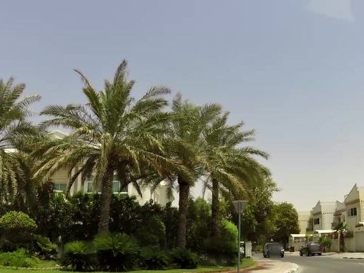 Angels Gymnastics Dubai #DuGym, Umm Suqeim 2