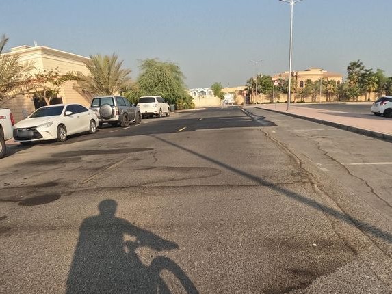 Pickl, Al Safa 2