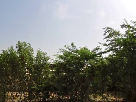Haiven, Al Qusais Industrial 2