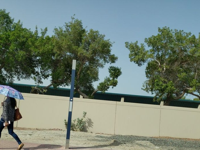 The Galleria Malls Dubai, Al Wasl