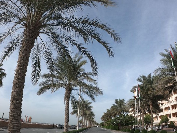 DIVA Home Of Diamonds Dubai, Palm Jumeirah