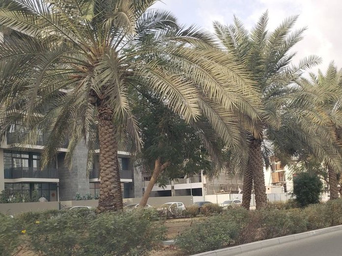 OYO 882 Home belgravia 3 1br, Jumeirah Village Circle