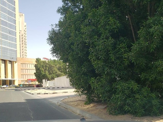 Premium 1 Bed Apartment In Binghatti Venus, Block 12K