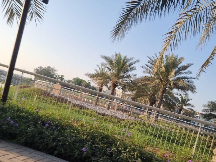 Park House (now Circle Café) Jumeirah Islands, Al Thanyah 5
