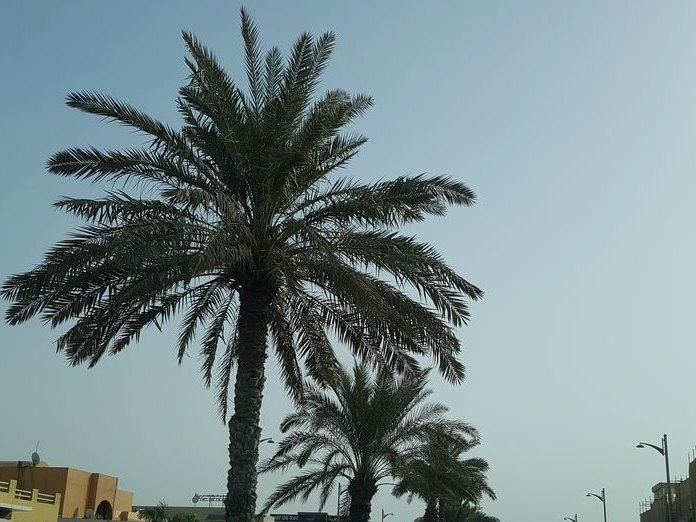Jaow, Jumeirah 3
