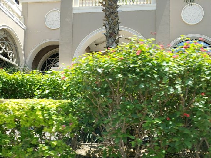Masion de Joelle, Al Barsha 1