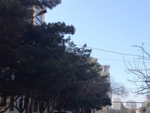 Emiland, White City